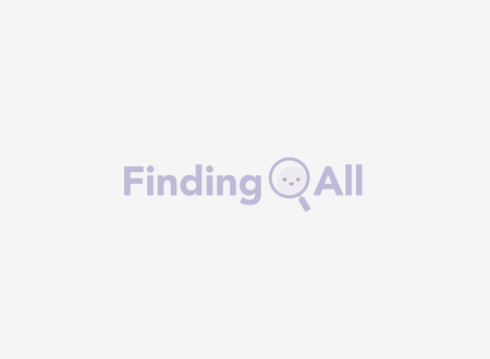 파인딩올 (Finding All)